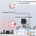 BSEED Zigbee okos gázérzékelő és riasztó (Tuya) 4
