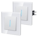 Bseed Echo Series Light Switch 2Way Switch Glass Panel With Clamping technology with Neon 2 Pack