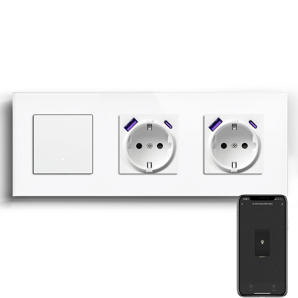 Echo Series Smart Wifi Switch With Double EU Socket with 20W usb type-c port 228mm