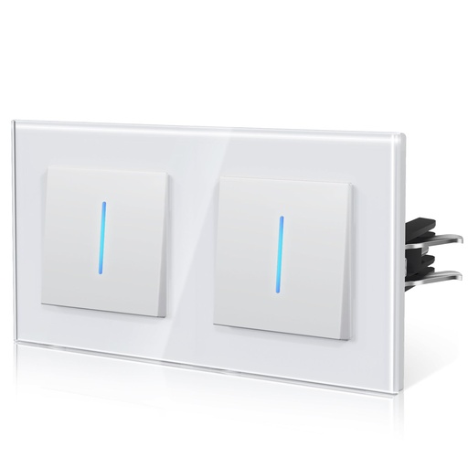 Bseed Echo Double  Light Switch Glass Panel With Clamping technology with Neon